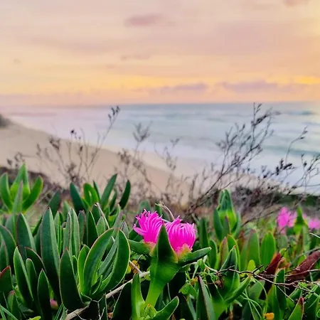 Tika Surf Camp Ericeira * Carvoeira